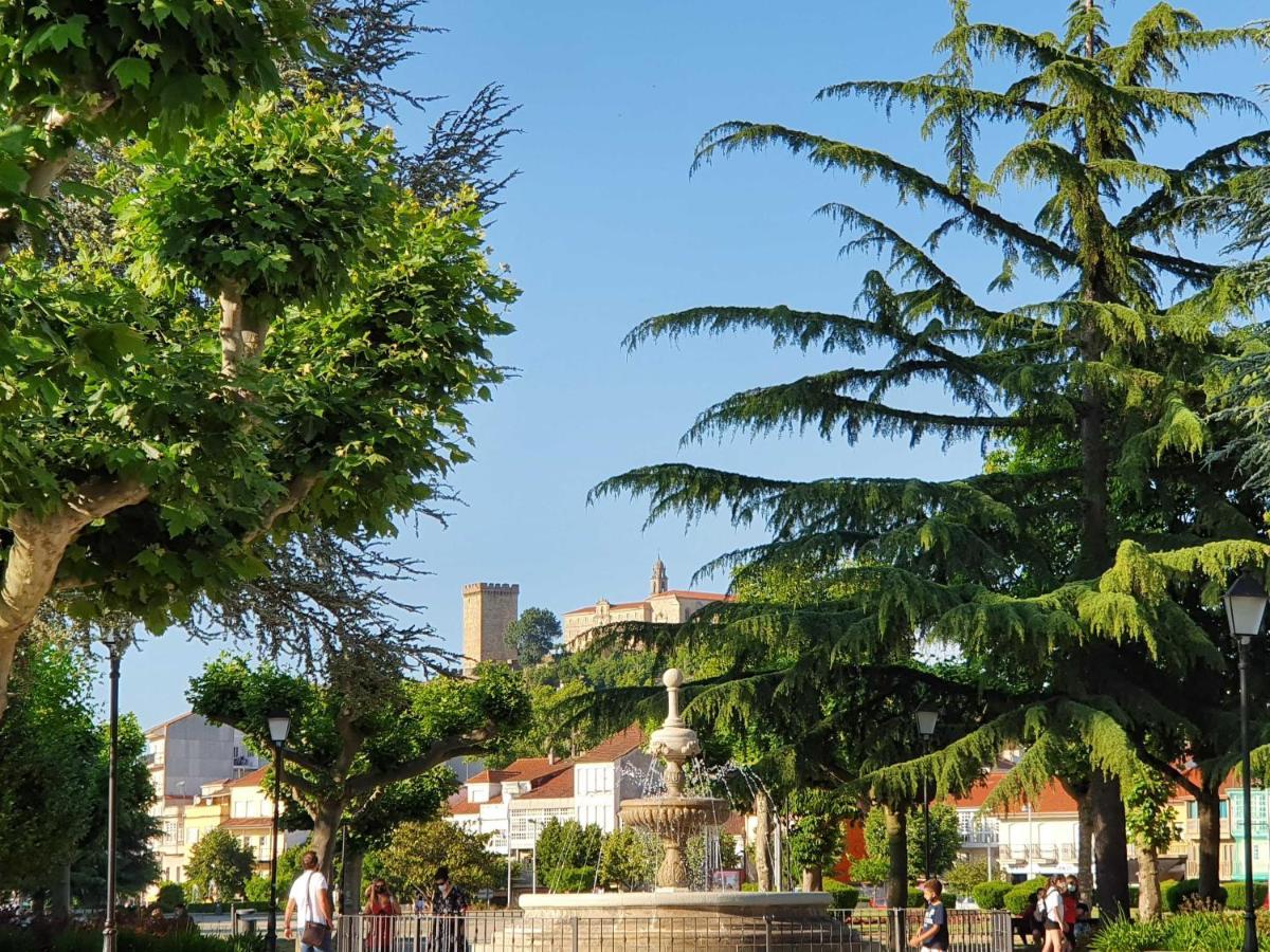 Acogedor Apartamento En El Centro De Monforte 蒙福特·德·莱蒙斯 外观 照片